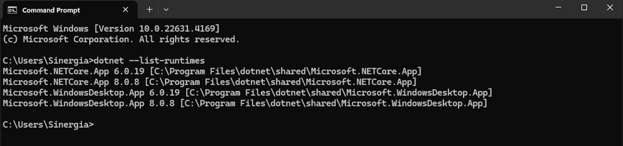 Desktop App: .NET Installation (4)